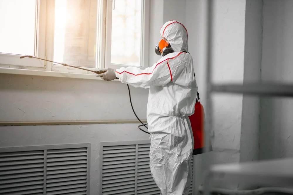 Professional mold remediation services in Rochester, IN